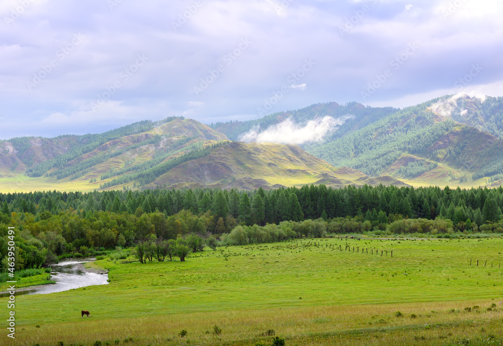 A valley in the Altai mountains