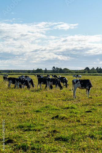 Wallpaper Mural 北海道の風景 (日本 - 北海道 - エサヌカ線)
 Torontodigital.ca
