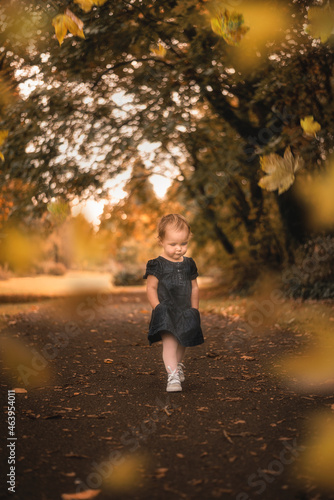 Adorable little toddler girl walking down autumn path with hands in pockets and fall foliage