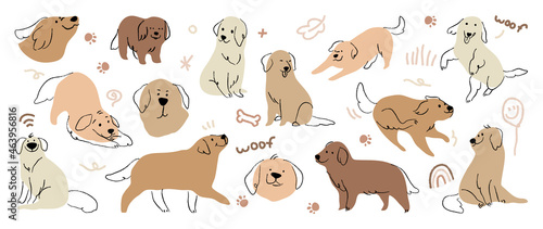 Cute Golden Retriever and Labrador Retriever dog hand drawn vector set. Cartoon dog or puppy characters design collection with flat color in different poses. © TWINS DESIGN STUDIO