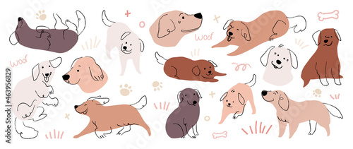 Cute Golden Retriever and Labrador Retriever dog hand drawn vector set. Cartoon dog or puppy characters design collection with flat color in different poses.