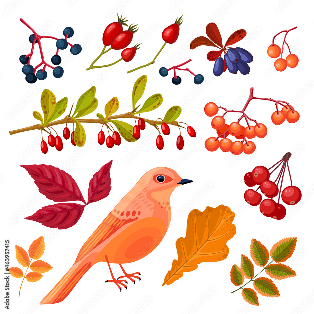 Autumn berries and leaves collection, small bird. Vector illustration cartoon icon set, isolated on white background.