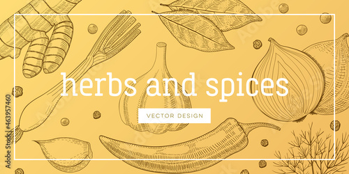 Set of seasoning and culinary plant, hand drawn sketch vector illustration, vintage engraving condiment collection, template for book cover or wallpaper.
