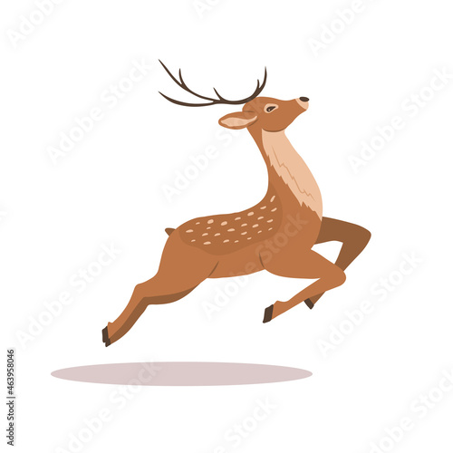Stylized noble sika deer. Reindeer with antlers in jump. Ruminant mammal animal. Vector illustration in flat cartoon style.
