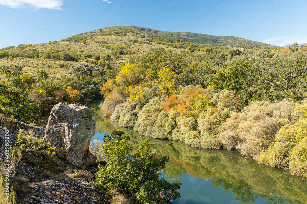 Lozoya river, with the colors of autumn, as it passes through the Sierra de Guadarrama in the province of Madrid