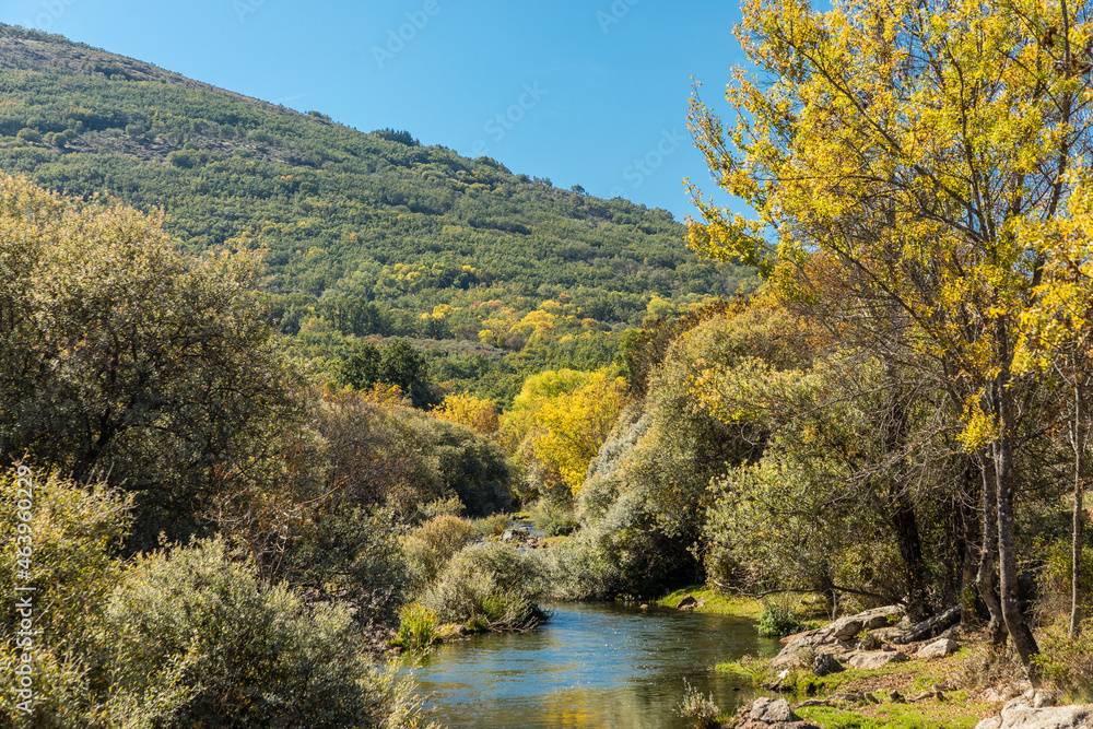 Lozoya river, with the colors of autumn, as it passes through the Sierra de Guadarrama in the province of Madrid