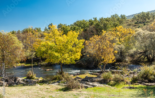 Wallpaper Mural Lozoya river, with the colors of autumn, as it passes through the Sierra de Guadarrama in the province of Madrid Torontodigital.ca
