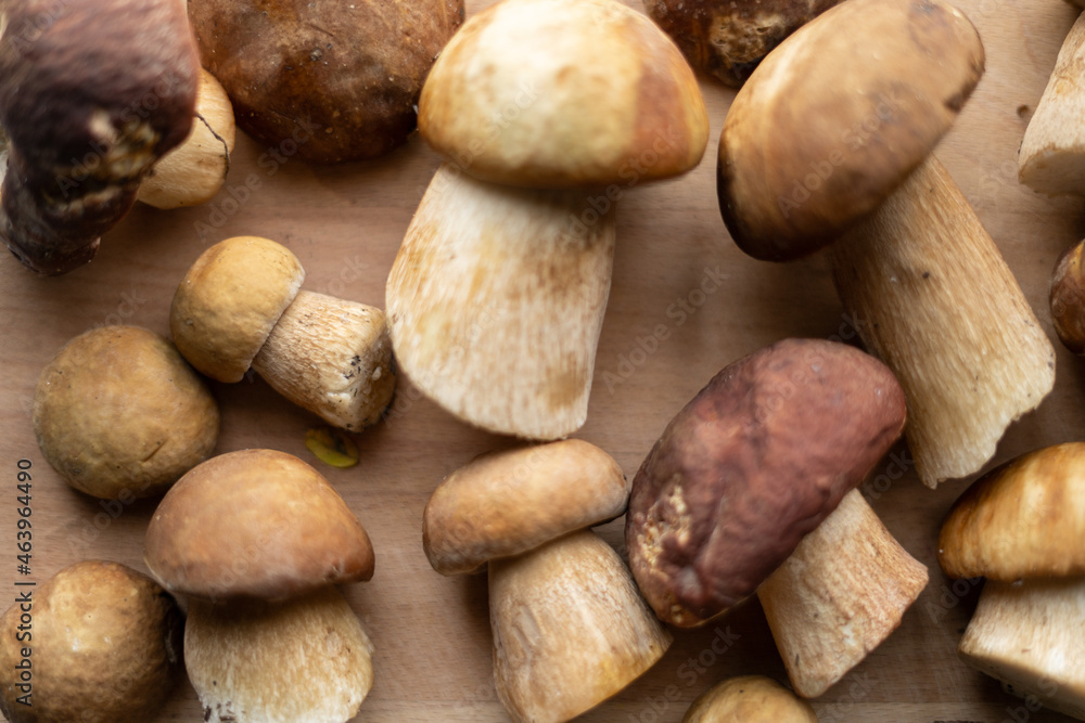 mushrooms on wooden table mushrooms on wooden table