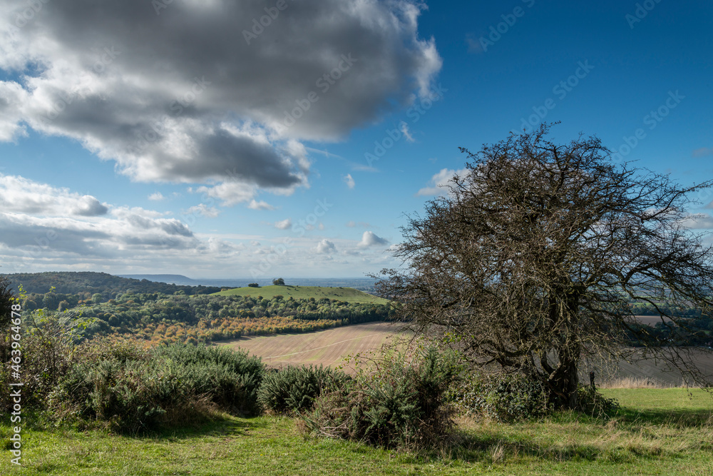 Coombe Hill landscape ,The Chilterns,Buckinghamshire, England,