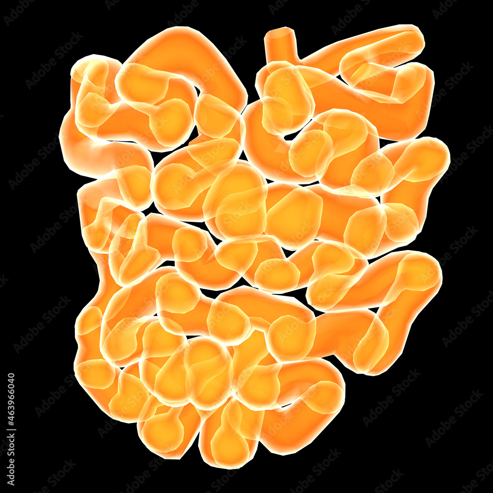 it is an organ in the gastrointestinal tract where most of the