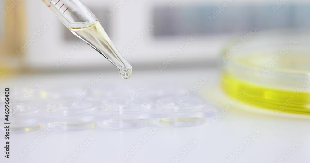 Clear oily liquid drips from pipette into test tube 4k movie Clear oily liquid drips from pipette into test tube 4k movie