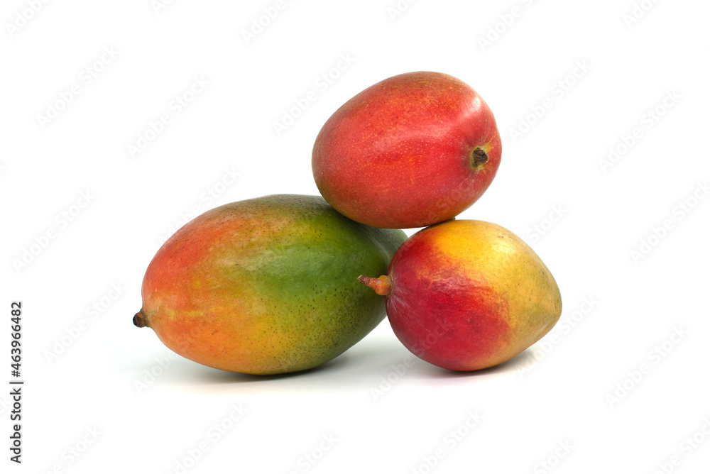 Multicolored mango fruits isolated on a white Multicolored mango fruits isolated on a white
