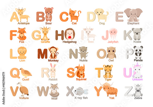Fototapeta Naklejka Na Ścianę i Meble -  English alphabet with cute animals in cartoon style.