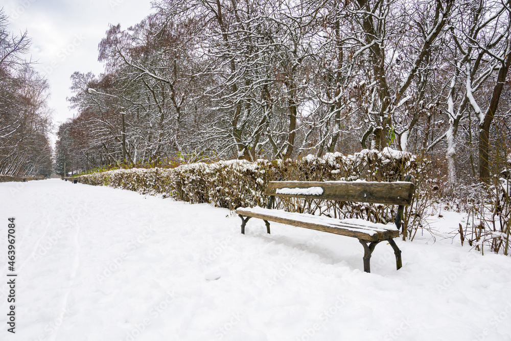 wooden bench in snow. moody winter scenery with leafless trees in the city park