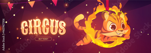 Circus poster with tiger jumping through fire ring. Vector flyer of carnival performance with animals with cartoon illustration of wild cat character act in circus show