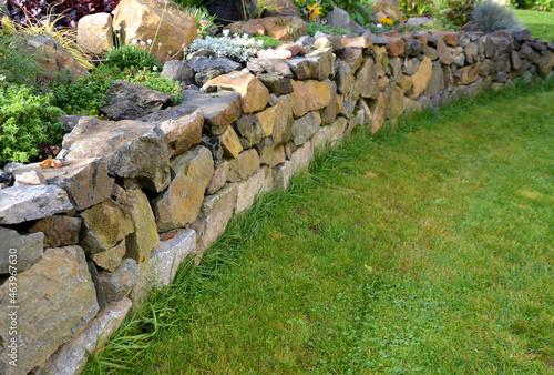 the dry wall serves as a terrace terrace for the garden, where it holds a mass of soil. the wall is slightly curved, which helps it to stabilize better. planting perennials and rock gardens
