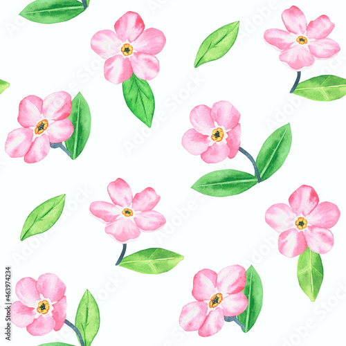 Pink forget-me-not. Pattern. Watercolor botanical illustration included in the collection of wildflowers. Isolated image on a white background. For your design.