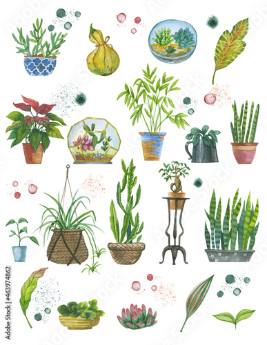 Hand drawn watercolor illustration for posters, product design or post cards. Fresh hand-drawing pictures of indoor plants in pots. 