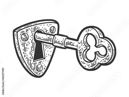antique key in the keyhole sketch engraving vector illustration. T-shirt apparel print design. Scratch board imitation. Black and white hand drawn image.