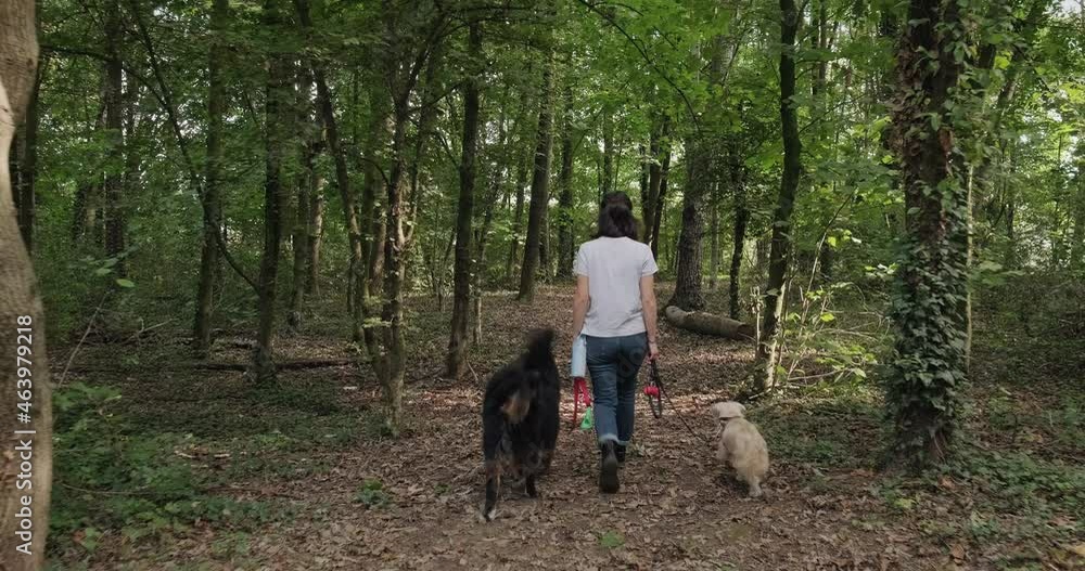 Young woman working as dog sitter in city park. Happy girl walking two dogs outdoors. People, pets and animals in countryside forest. Slow motion