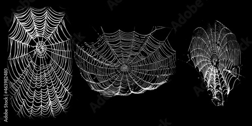 Spiderwes isolated on black grunge background. Cobweb frame. Halloween party. Texture of spider web. Halloween decoration. Gothic style	