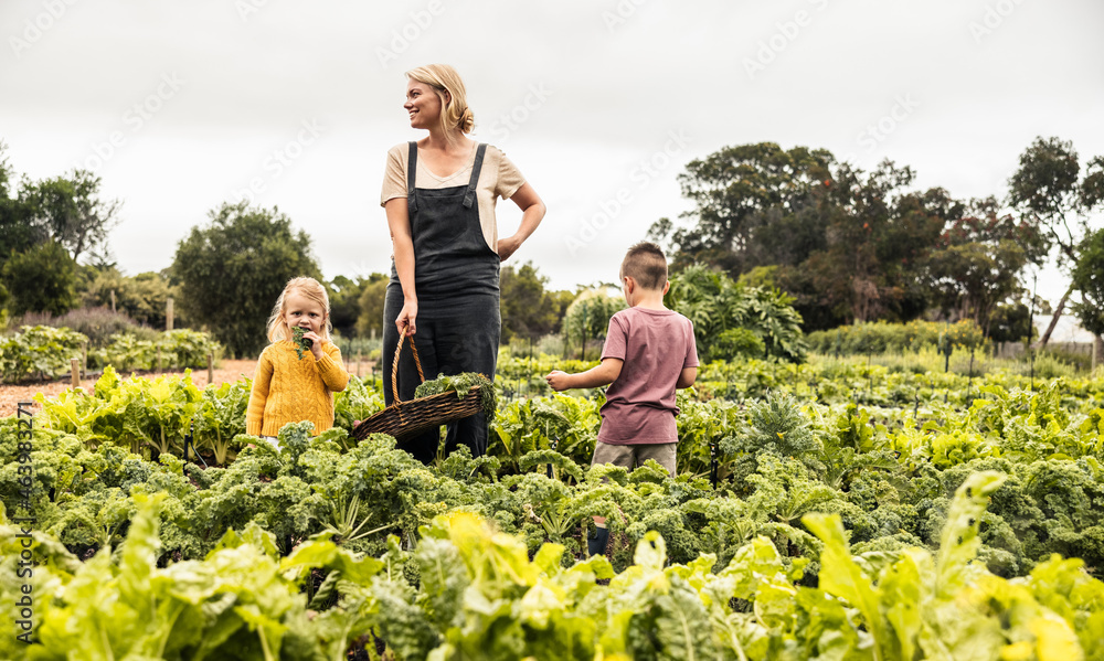 Young mother standing in a vegetable garden with her children - obrazy, fototapety, plakaty 