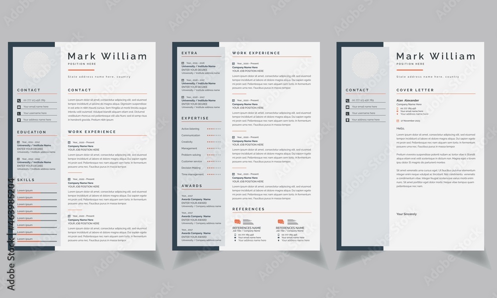 Professional Resume Template, CV Template Vector Design Stock Vector ...