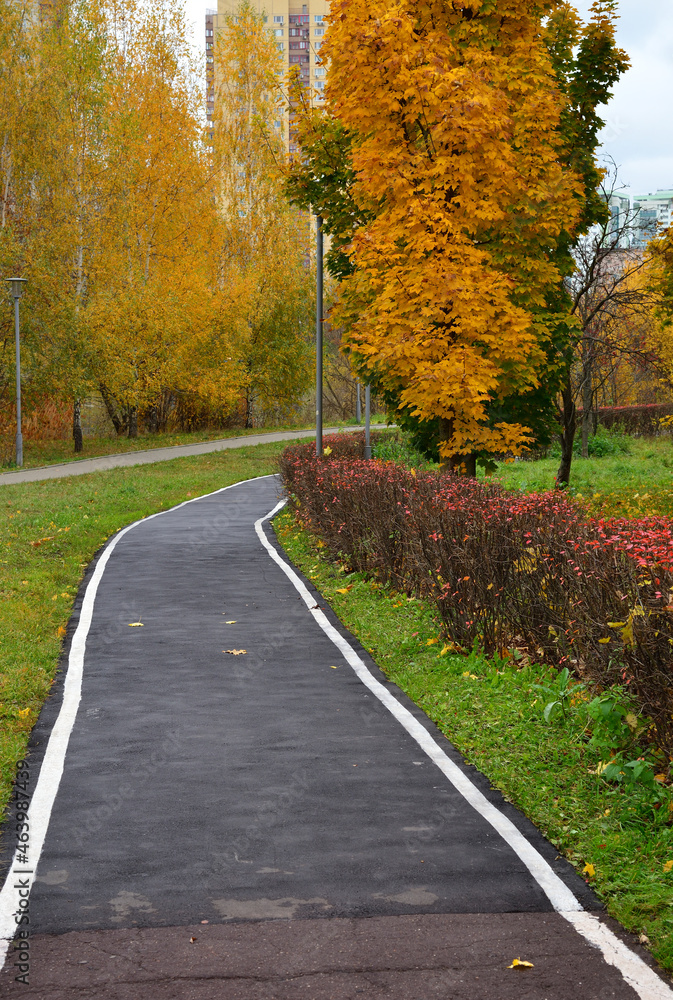 Naklejka premium Cycle path in Schoolchildren park in autumn, Moscow, Russia