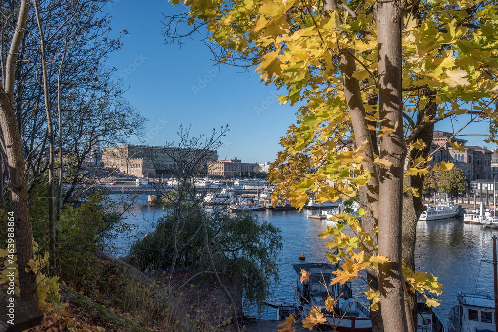 A colorful autumn day in Stockholm, view over the Royal castle and commuting boats at the old town Gamla Stan 