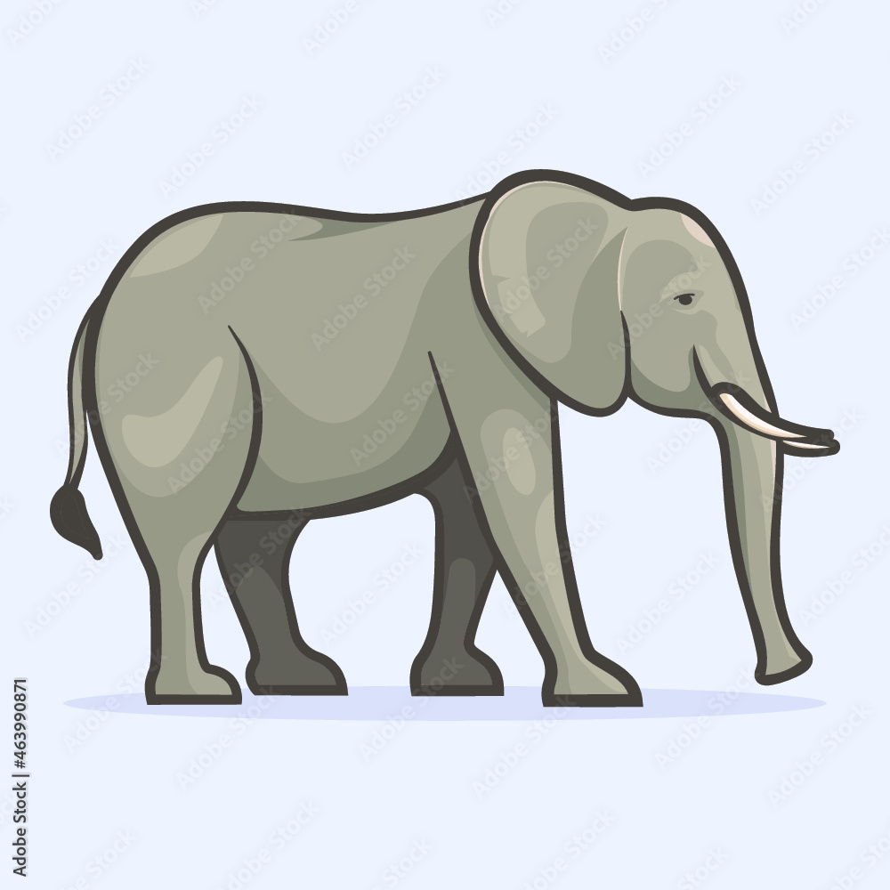 Fototapeta premium elephant isolated