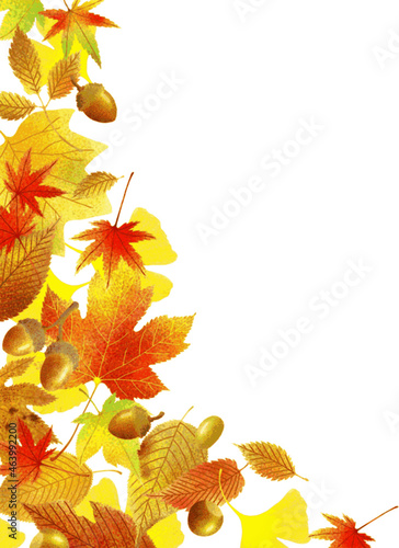 Frame design to decorate the side of cards and spaces with fallen leaves. Autumn botanical illustration of a vector with a watercolor texture. Yellow, red and brown on a transparent background.