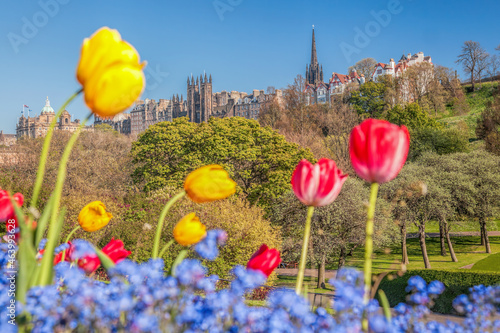 Edinburgh city during springtime with colorful tulips in public park, Scotland, United Kingdom photo