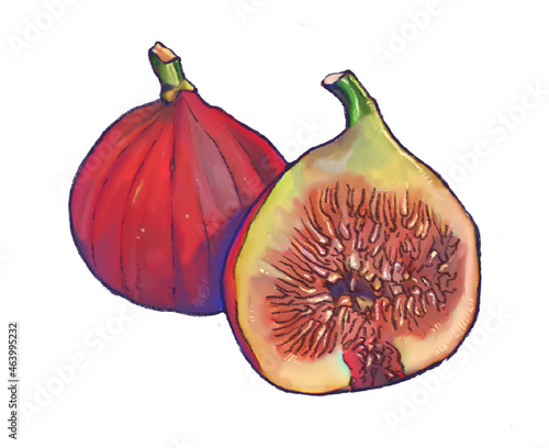 fig1