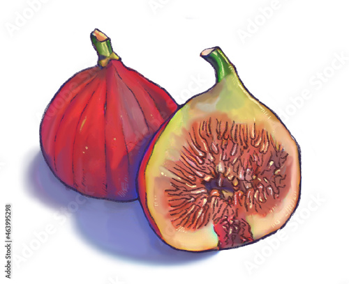 fig2
