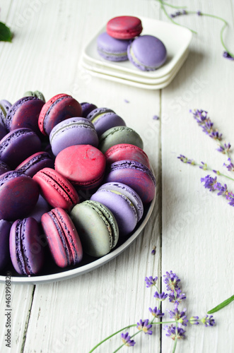 Lila Macarons photo