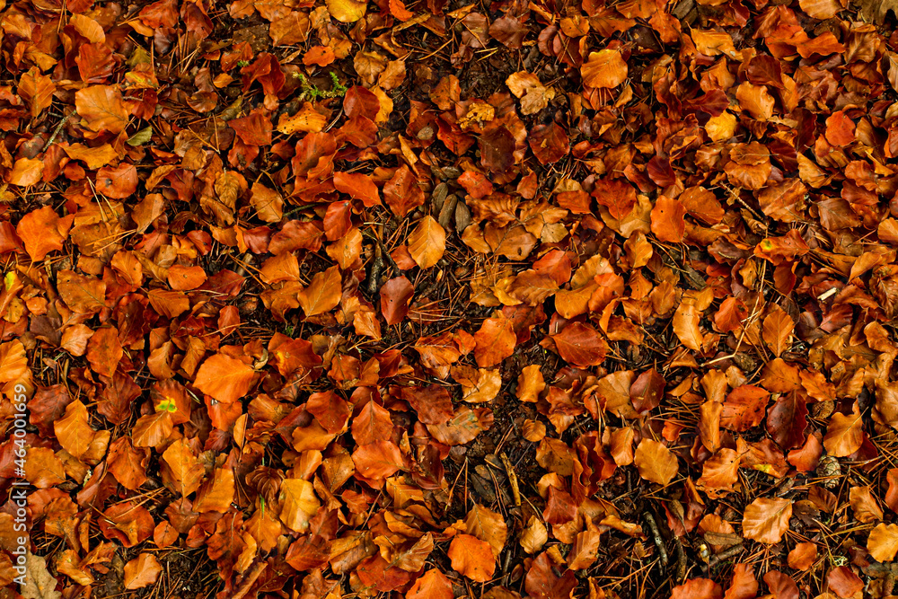 Texture of the ground Texture of the ground