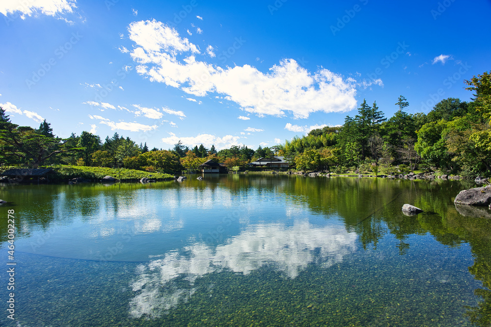 Fototapeta premium 日本庭園