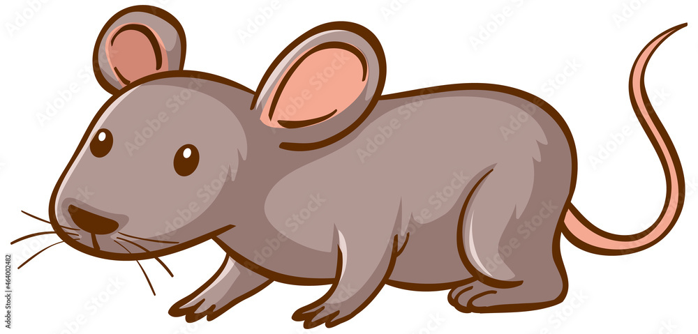 Fototapeta premium Mouse animal cartoon on white background
