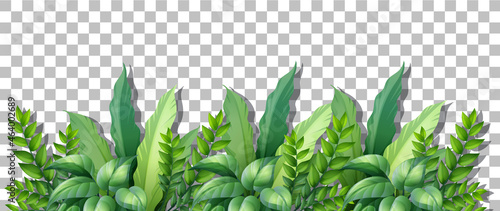 Tropical plant on transparent background