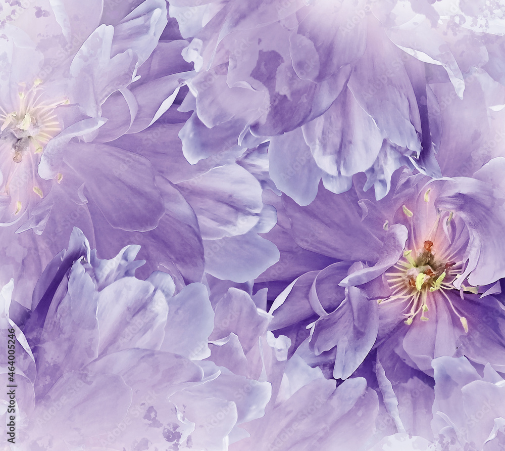 Watercolor purple tulips flowers. Floral  background. Closeup.  Nature.