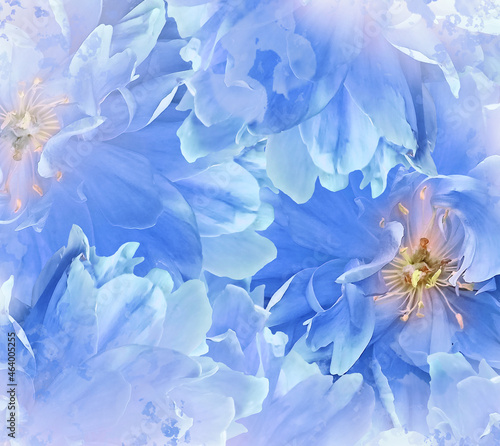 Watercolor blue tulips flowers. Floral  background. Closeup.  Nature.