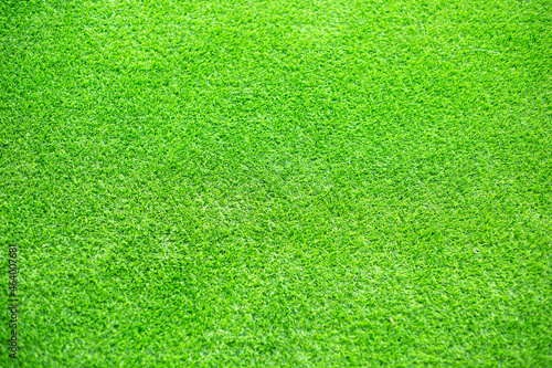 Texture of artificial grass