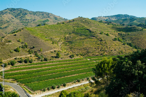 Vista de la localidas Porrera en la comarca del Priorat  provincia de Tarragona  Catalunya.