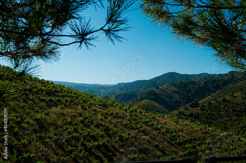 Vista de la localidas Porrera en la comarca del Priorat, provincia de Tarragona, Catalunya.