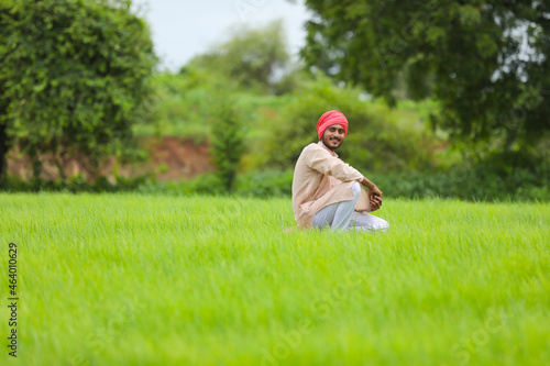 indian farmer at green onion agriculture field.