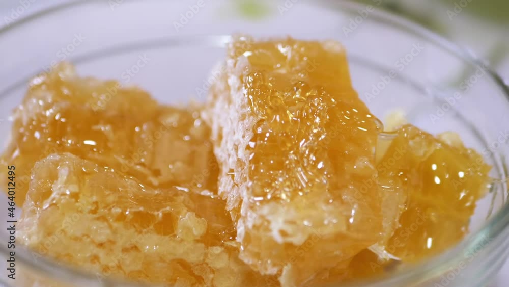 Thick Natural Honey is Pouring in a Thin Stream in a Glass Bowl on a Honeycomb. Yellow transparent honey flows drip over the bee combs. Healing, organic, healthy, nutritious beekeeping product. Zoom. Thick Natural Honey is Pouring in a Thin Stream in a Glass Bowl on a Honeycomb. Yellow transparent honey flows drip over the bee combs. Healing, organic, healthy, nutritious beekeeping product. Zoom.