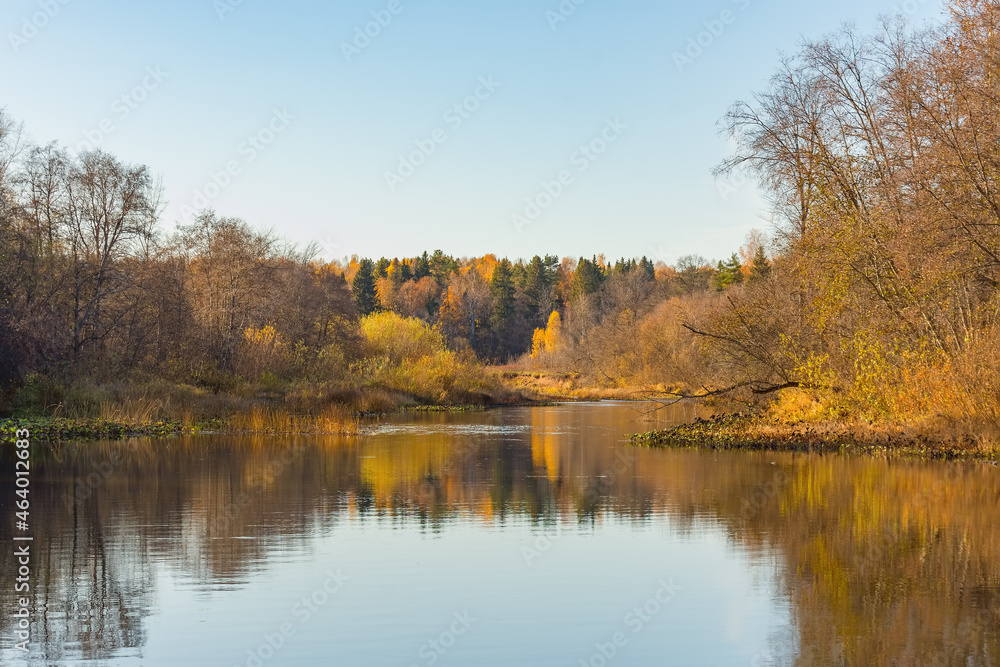 Beautiful landscape of a calm river against the backdrop of an autumn forest.