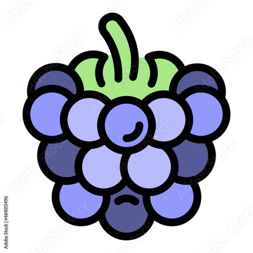Fresh blackberry icon. Outline fresh blackberry vector icon color flat isolated