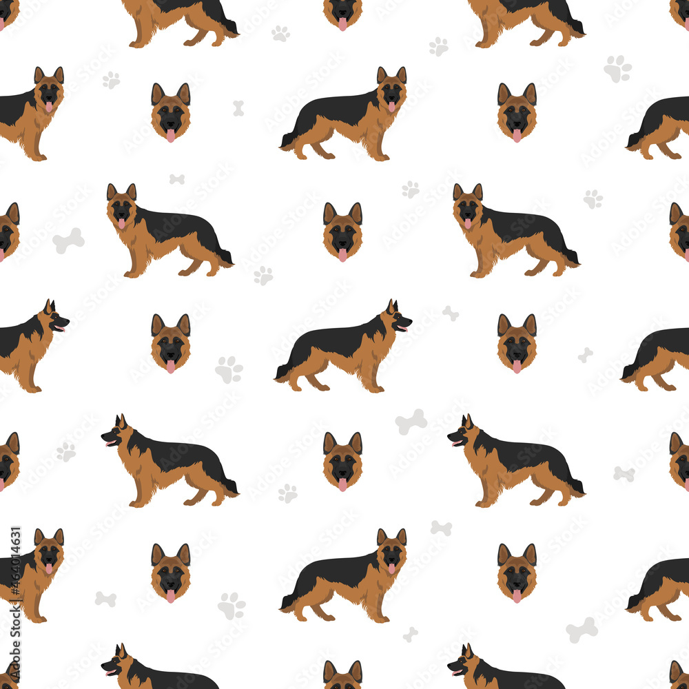 Long haired german shepherd dog  in different coat colors seamless pattern