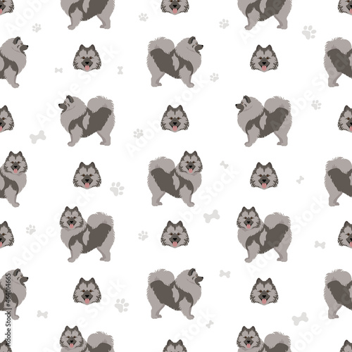 German spitz, Wolfspitz seamless pattern. Different poses, coat colors set